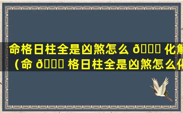 命格日柱全是凶煞怎么 🐕 化解（命 🐘 格日柱全是凶煞怎么化解婚姻）